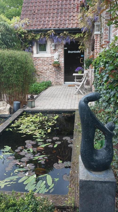 Shamballa B & B/ Logies Deinze Exteriör bild