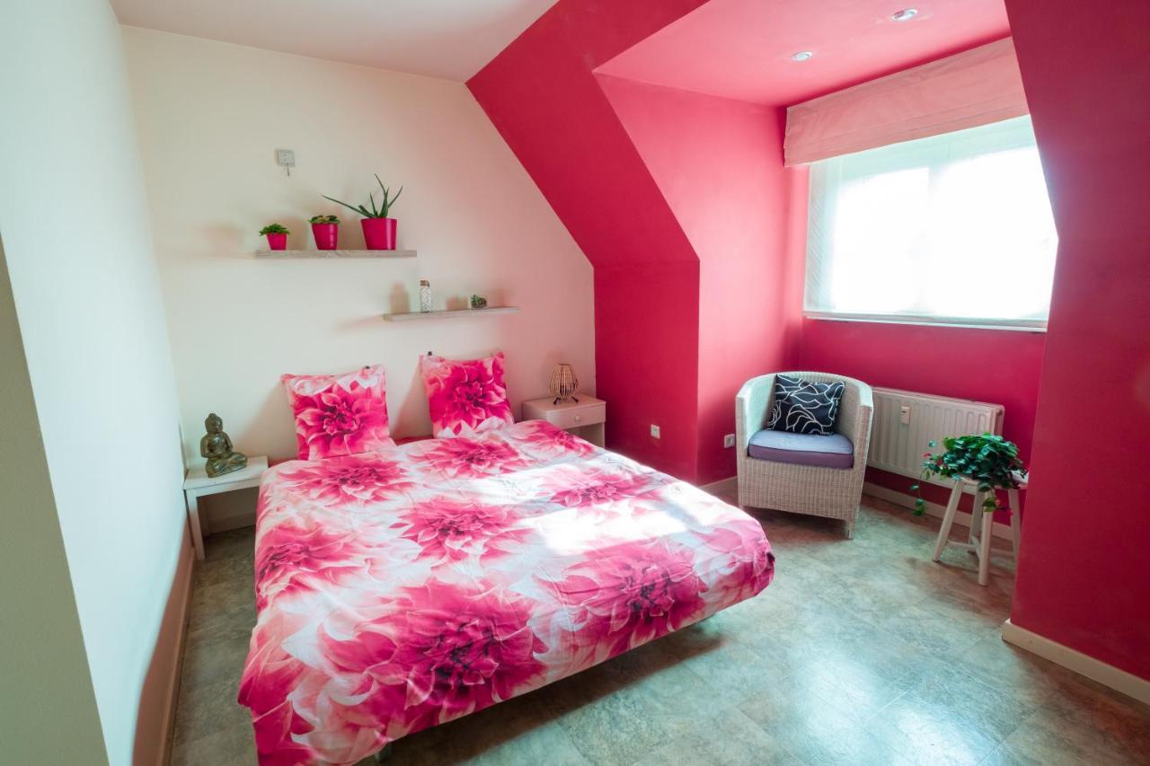 Shamballa B & B/ Logies Deinze Exteriör bild