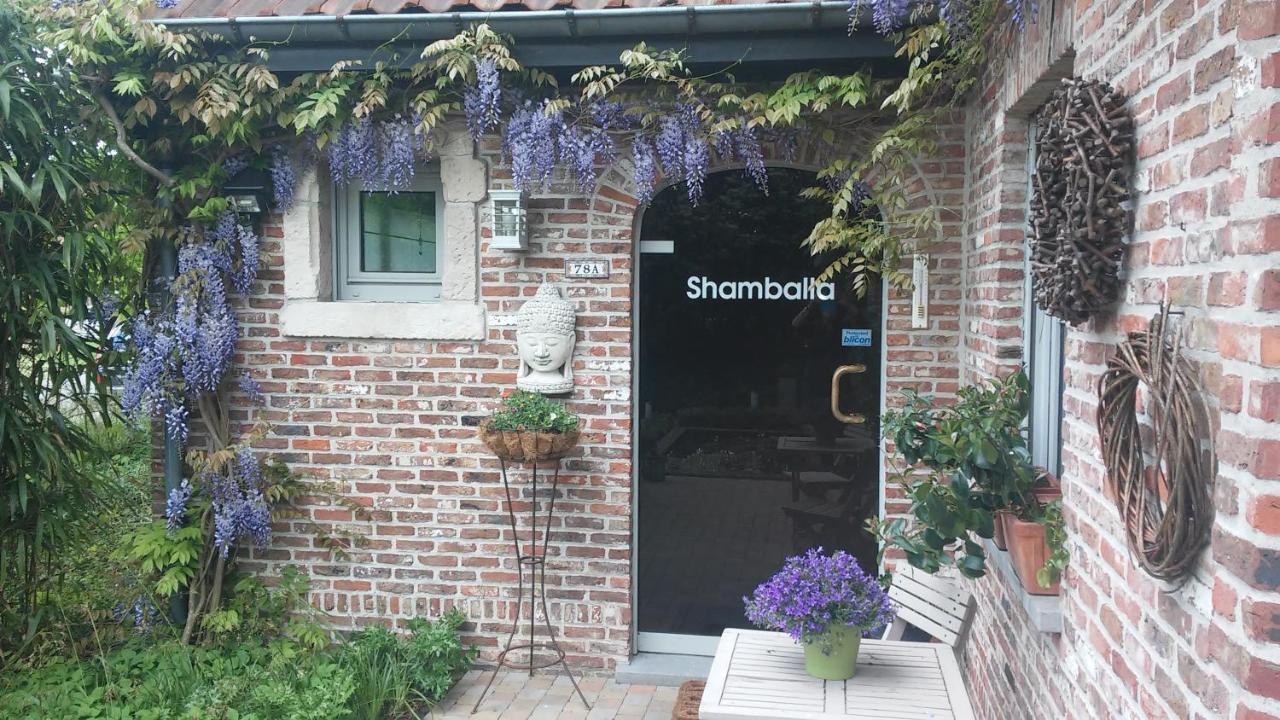 Shamballa B & B/ Logies Deinze Exteriör bild